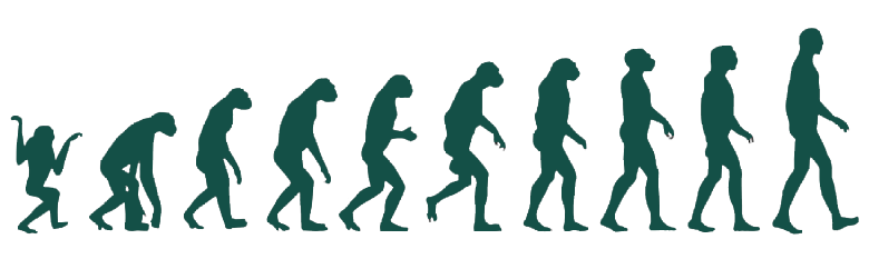 2523-wandtattoo-evolution-einzel